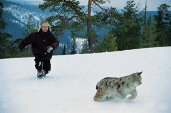 In the snow